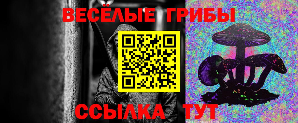Псилоцибиновые грибы мухоморы Узловая
