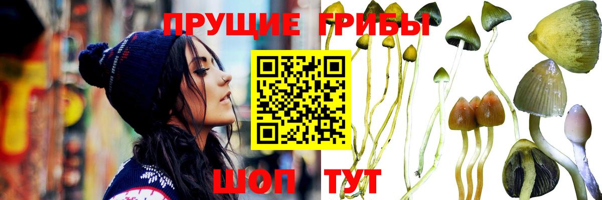 Галлюциногенные грибы Magic Shrooms  Галлюциногенные грибы Psilocybine cubensis  Узловая  Вход с VPN 